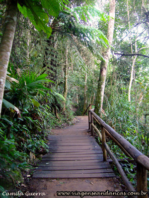 Trilha dentro do Parque Natural de Petrópolis