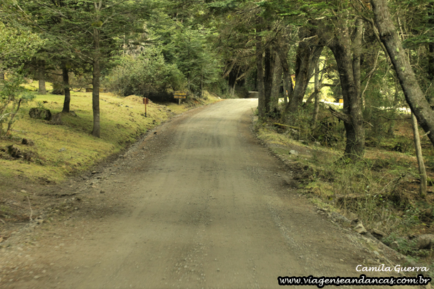 Parte da estrada dentro do PN Nahuel Huapi