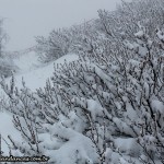 Muita neve no Cerro Otto, Bariloche