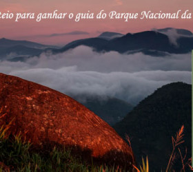 Ganhe um guia do PARNASO