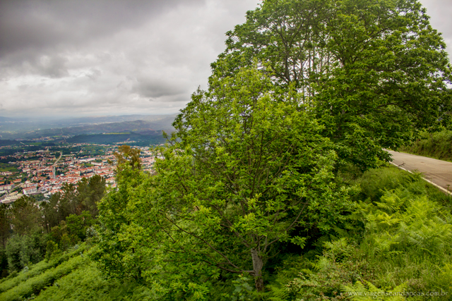 Estrada para o Talasnal