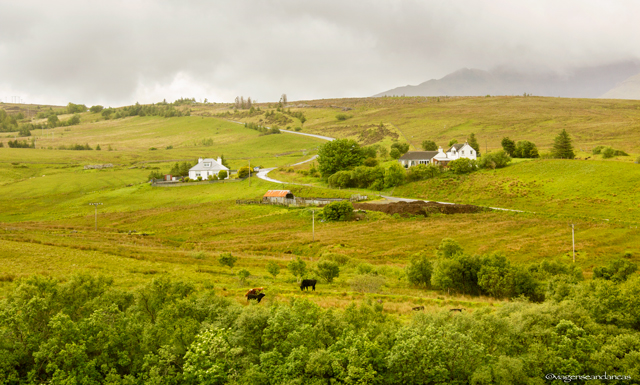 Skye é, em sua maioria, formada por áreas rurais com montanhas ou mar como pano de fundo.